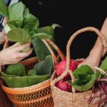 Cómo iniciar y los beneficios de una dieta vegana alcalina