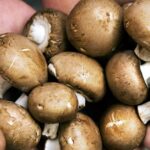 Ventajas de incluir hongos en la dieta