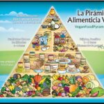 Opciones vegetarianas y veganas: Cocina saludable y sostenible sin ingredientes animales