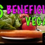 Mejora tu bienestar con una dieta vegetariana o vegana: Descubre sus beneficios saludables de forma natural
