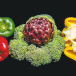 Haz tu parte: Dieta basada en plantas para reducir el impacto ambiental de la industria ganadera