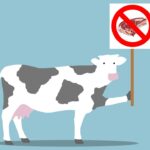 Beneficios para tu salud al reducir el consumo de carne